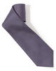 ERRICO FORMICOLA Silk print Neckties