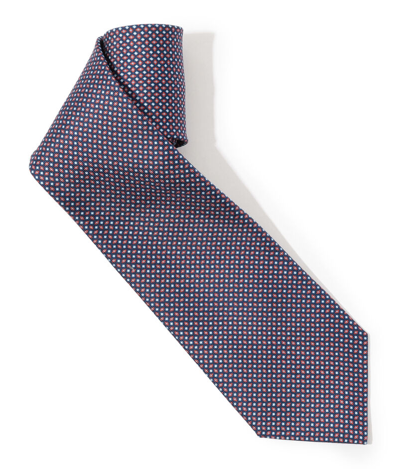 ERRICO FORMICOLA Silk print Neckties