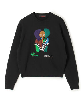 CABaN コットンカシミヤ Elephantエンブロイダリークルーネックプルオーバー