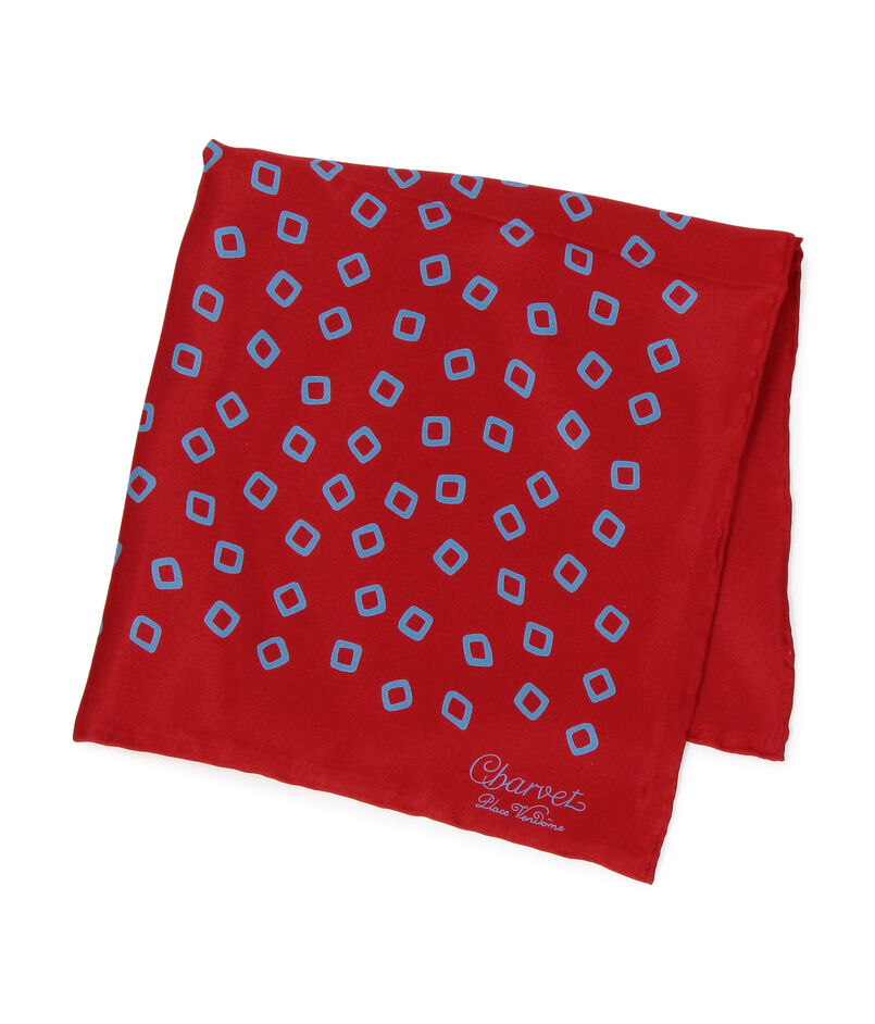 Charvet シルクプリント ポケットチーフ