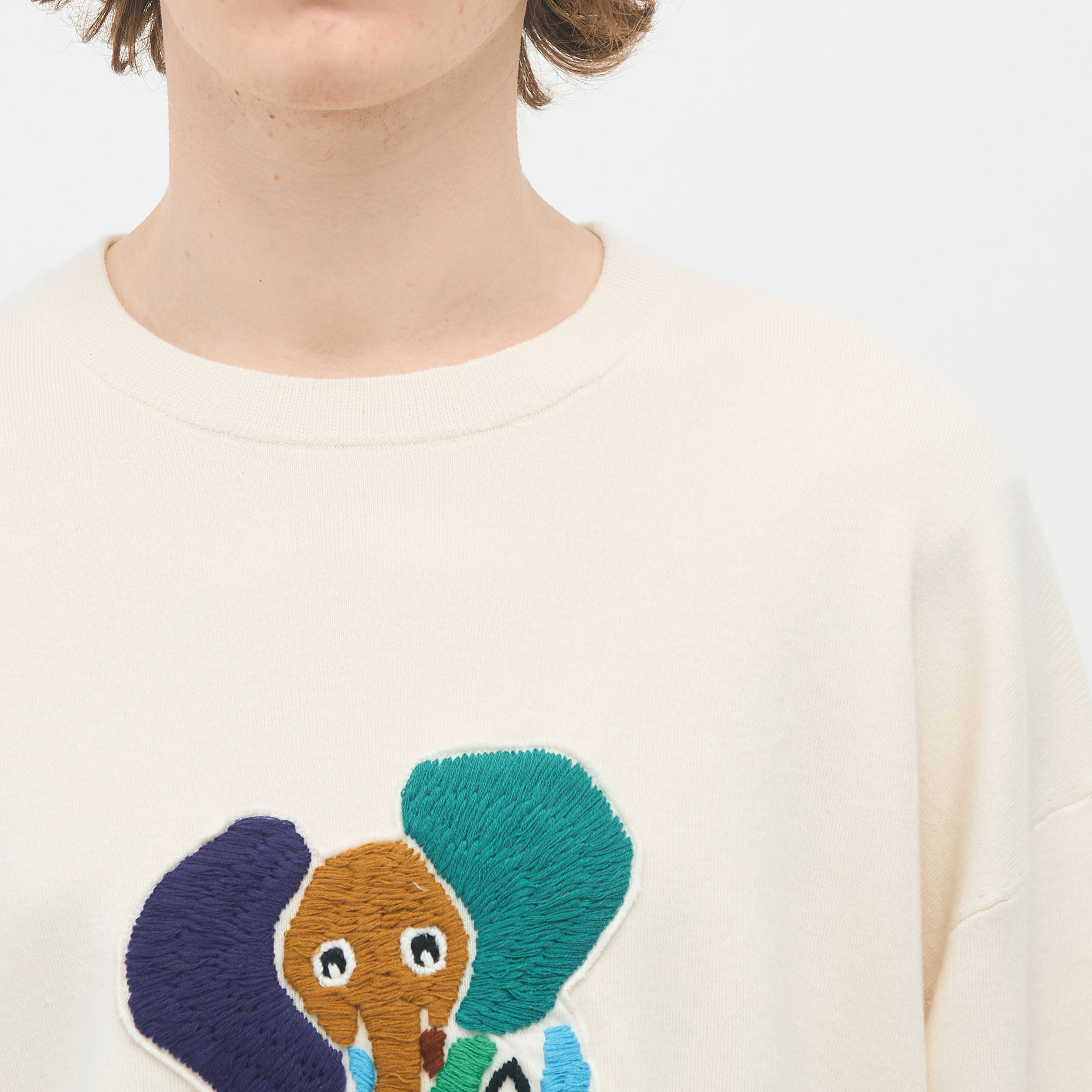 専用品CABaN Elephantエンブロイダリー クルーネックプルオーバー CABaN コットンカシミヤ Elephantエンブロイダリークルーネックプル