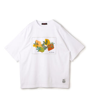 CABaN スビンコットン BIRDプリントTシャツ