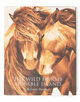THE WILD HORSES OF SABLE ISLAND BOOK ABK2099