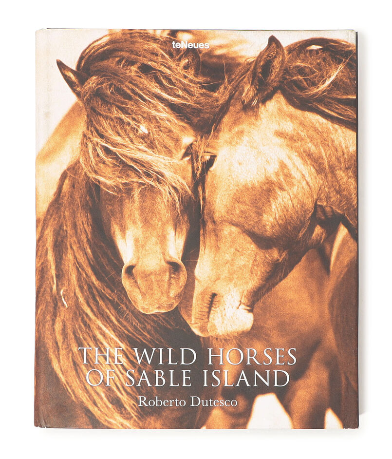 THE WILD HORSES OF SABLE ISLAND BOOK ABK2099