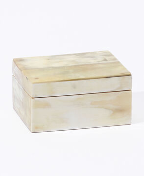 MVM BOX