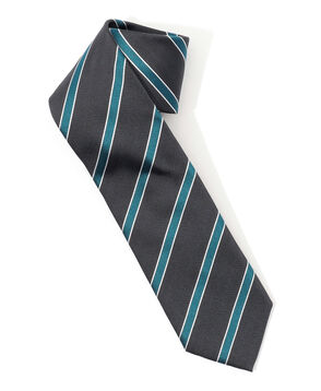 STEFANO BIGI シルク レジメンタル ネクタイ