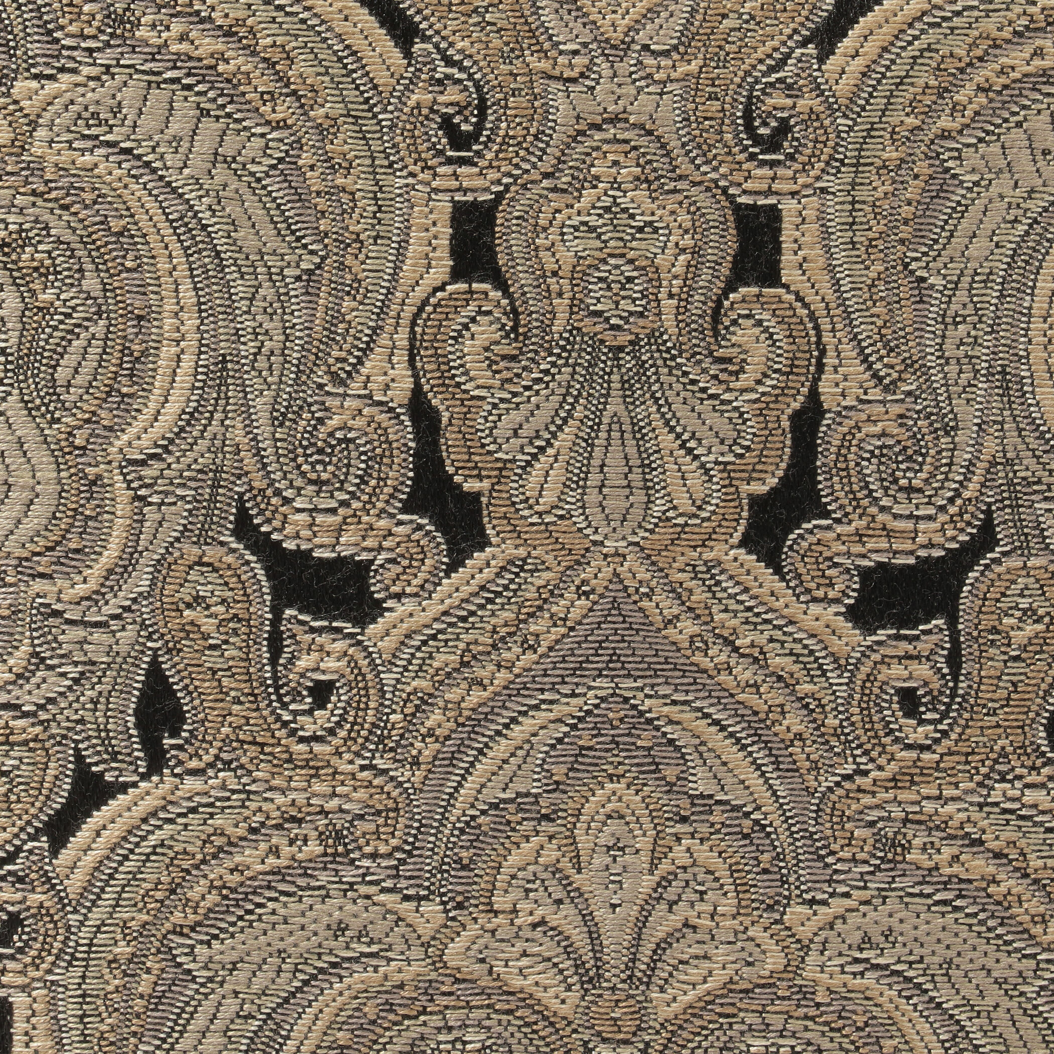 y*️様 トゥモローランドCOMPAGNIA DELLE PELLI 48 m- トゥモローランドCOMPAGNIA DELLE PELLI 48 m-65 Mignon Has Come to