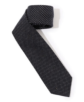STEFANO BIGI ウール ドットネクタイ
