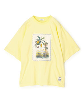 スビンコットン TROPICAL HORIZON Tシャツ