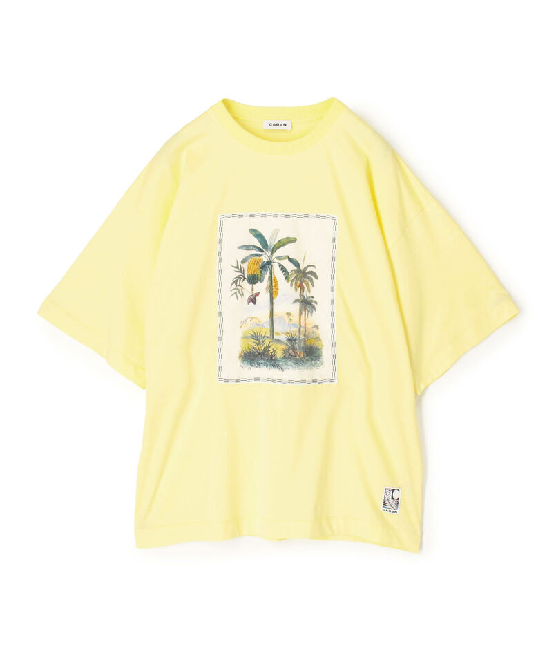 スビンコットン TROPICAL HORIZON Tシャツ