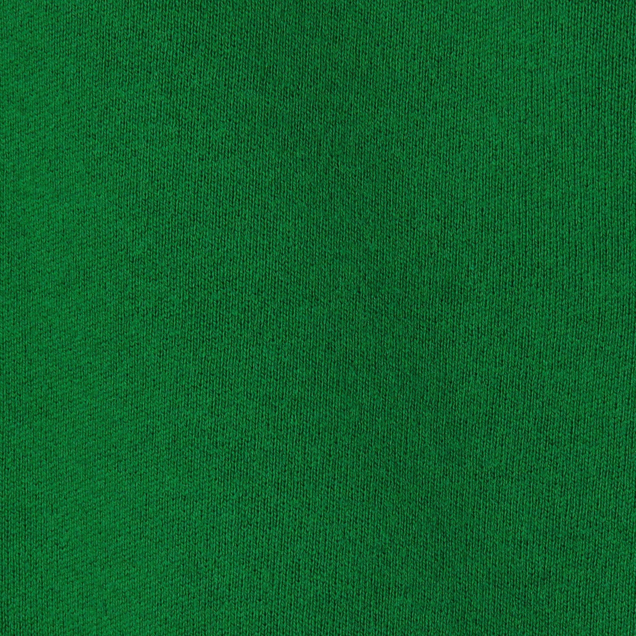 CABaN コットンカシミヤ Elephantエンブロイダリークルーネックプル