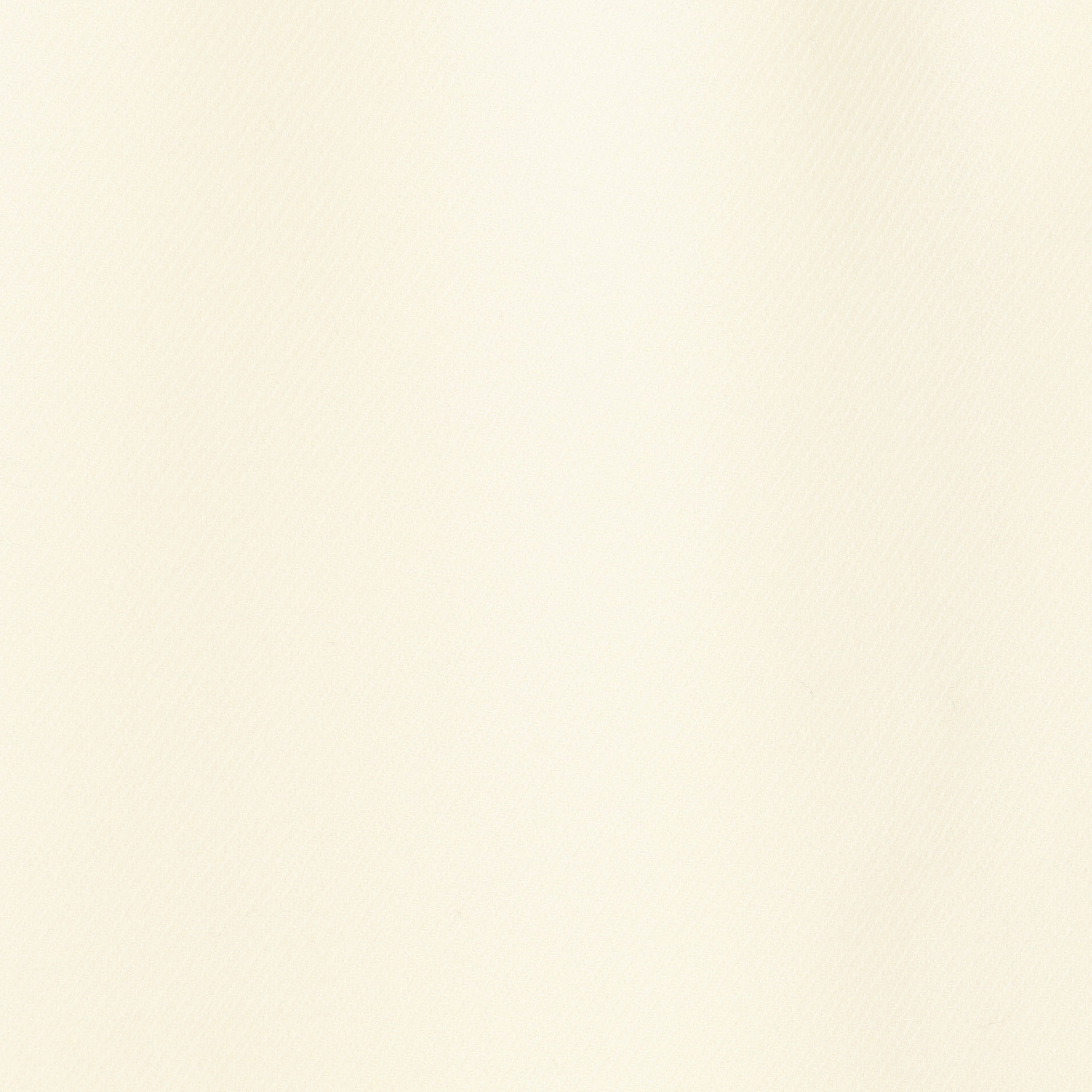 ストレッチボタニー ストレートスカート｜トゥモローランド 公式通販