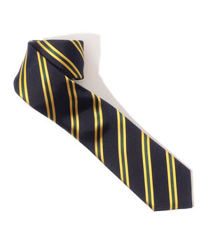 MAISON et VOYAGE シルク レジメンタルナロータイ