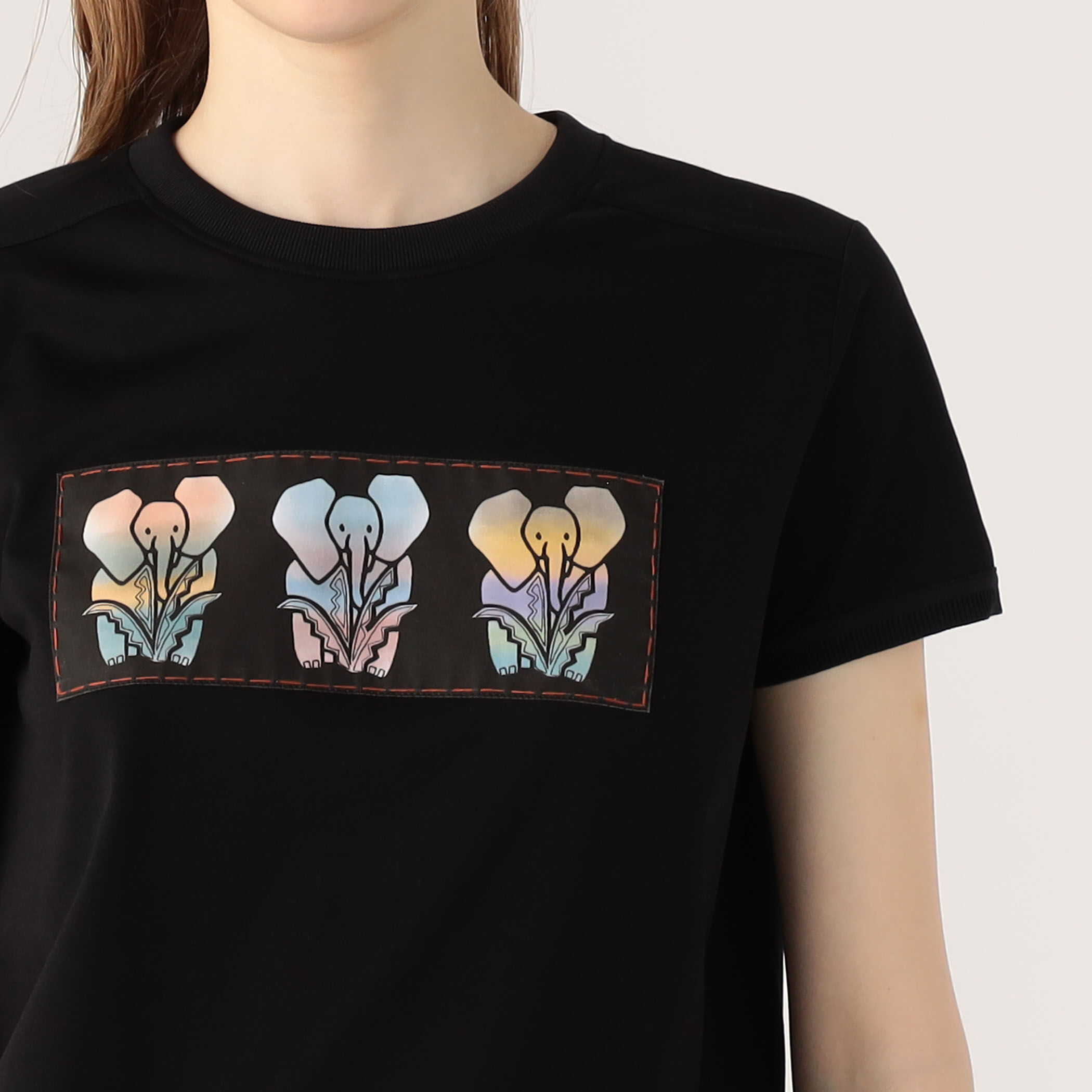 CABaN スビンコットン ELEPHANTグラデーションプリントTシャツ