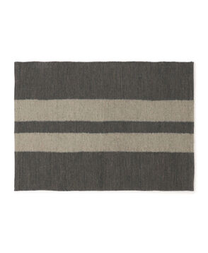 ダブルストライプ 玄関マット HRU9053