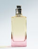 Dries Van Noten Beauty オードトワレ オレンジ スモーク 200ml