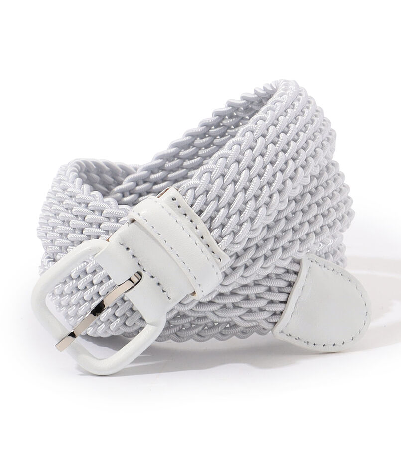 Charvet 革巻き メッシュベルト