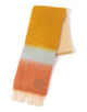 LOEWE stripe stole