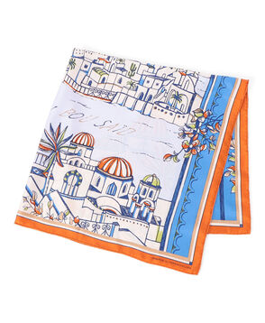 【別注】manipuri VIEW シルクスカーフ