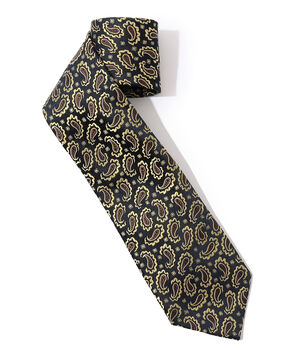 Charvet シルク ネクタイ