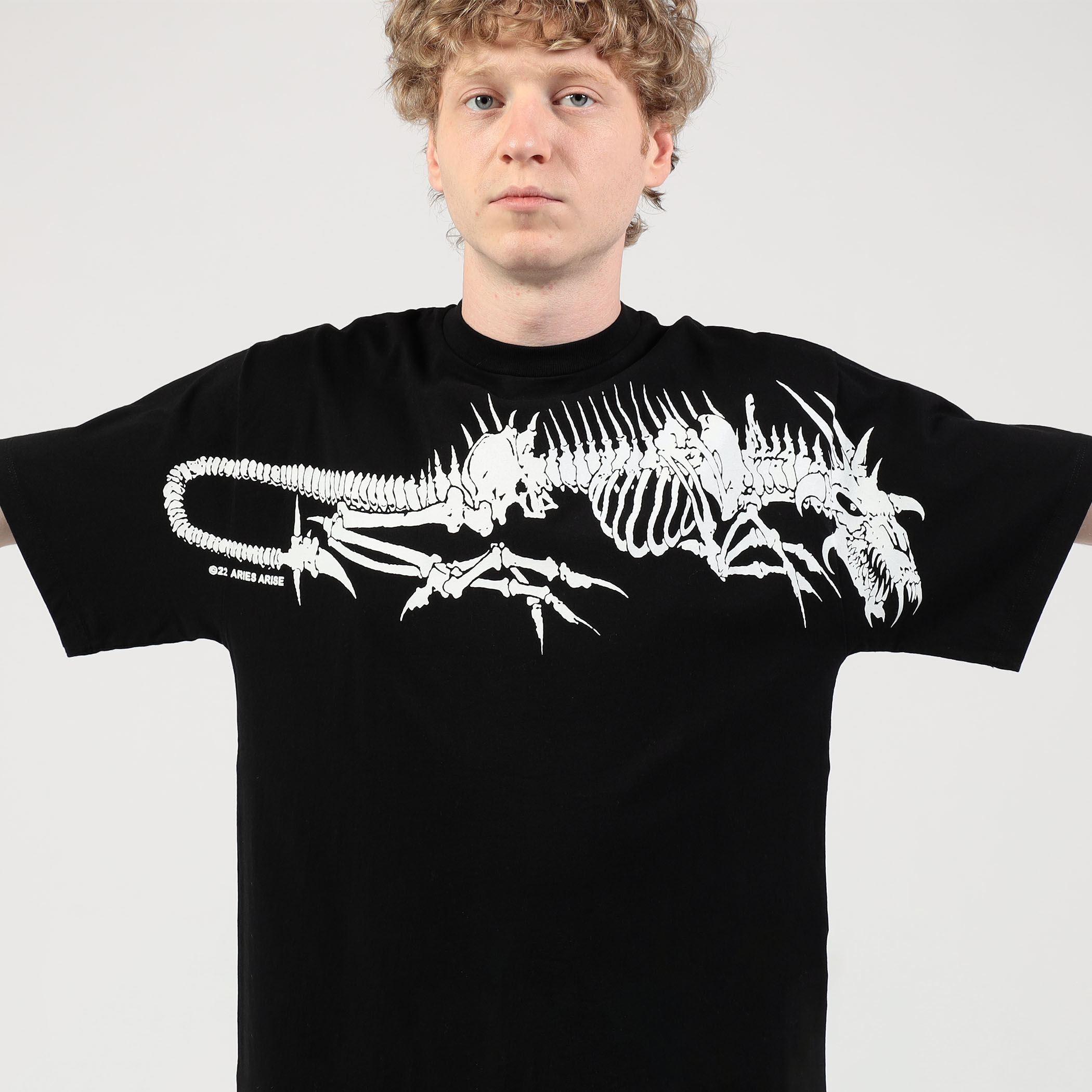 ARIES Acid Drgn Skelator T｜トゥモローランド 公式通販