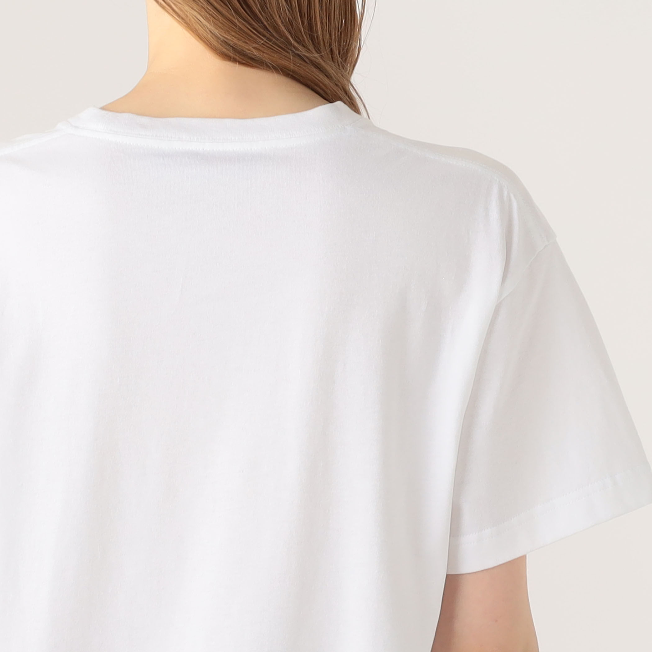 ドライスビンコットン ELEPHANTエンブロイダリー Tシャツ