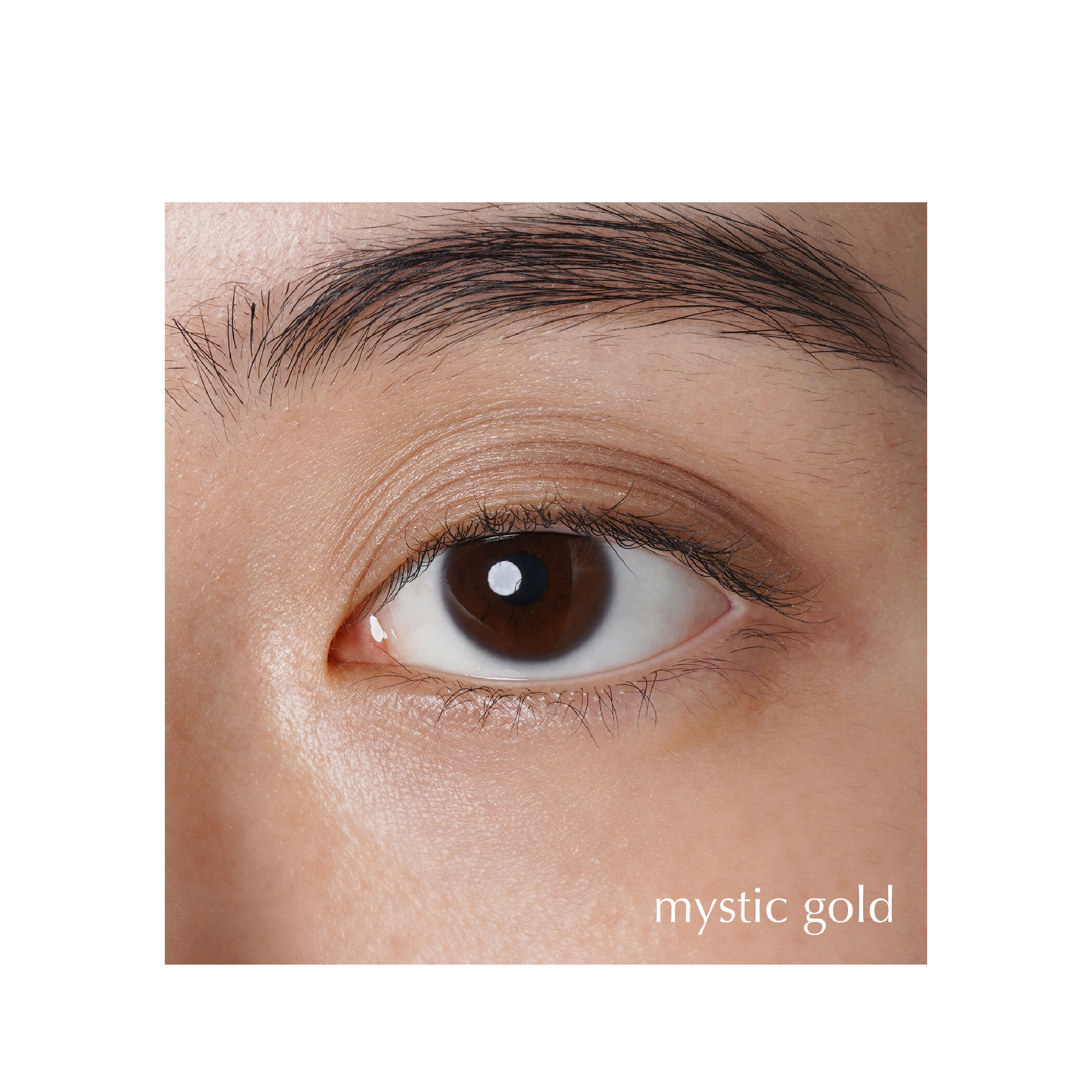 item50334800039f11ef9e520242ac