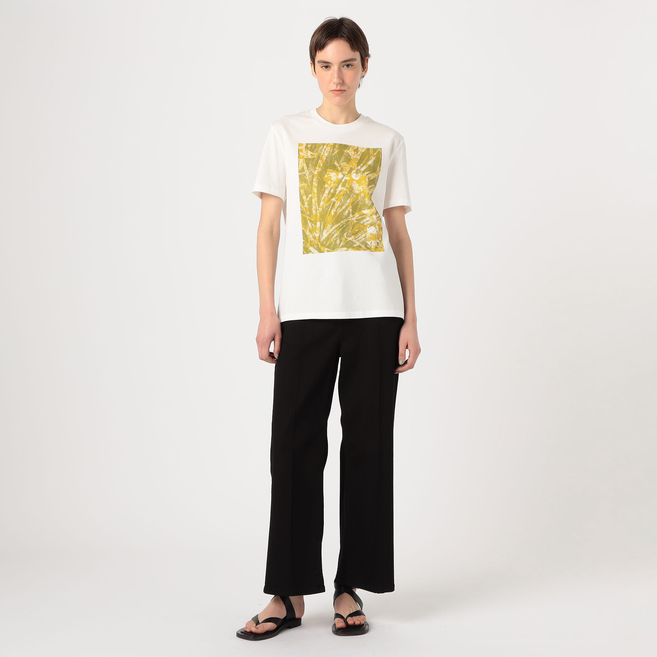【TOMORROWLAND GOODS】LISA KING  MARTIN　ハーフスリーブプルオーバー 別注】LISA KING GREEN HOUSE ハーフスリーブプルオーバー