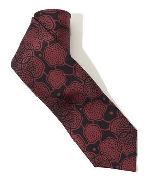 Charvet シルクプリント ネクタイ