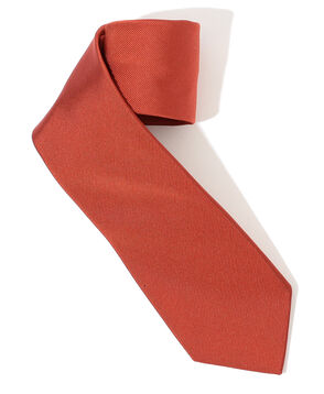 FRANCO BASSI シルクソリッドネクタイ