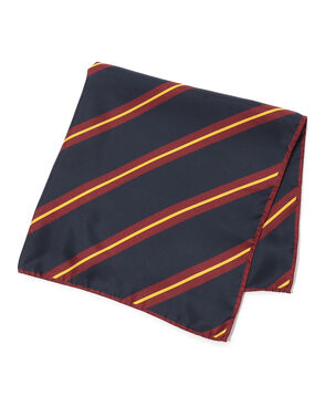 REGAGLIA シルク スカーフ