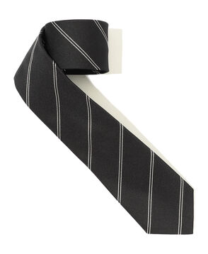 【別注】Edition × Bleck TIE レジメンタルタイ
