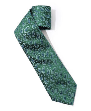 Charvet シルク ネクタイ