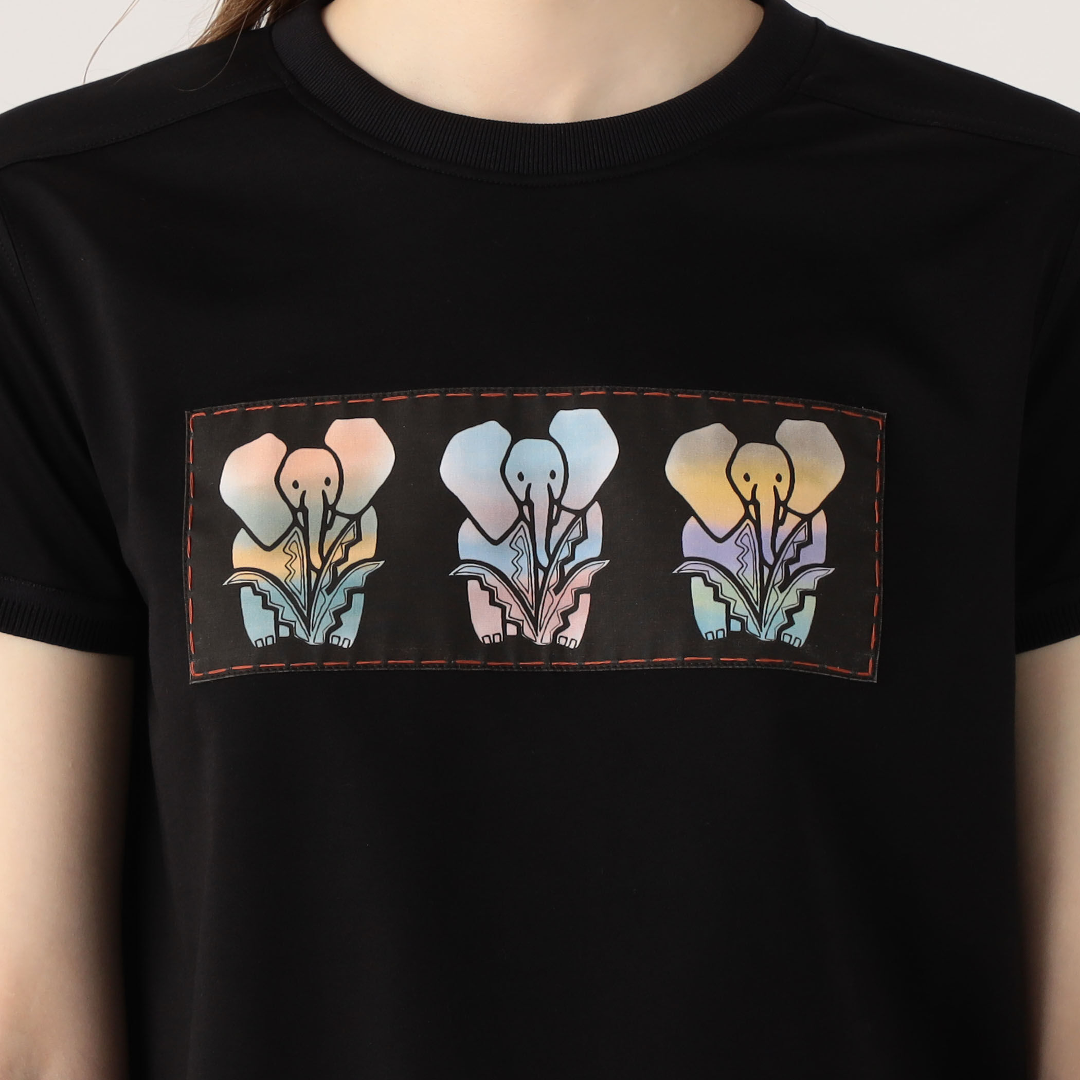 CABaN スビンコットン ELEPHANTグラデーションプリントTシャツ