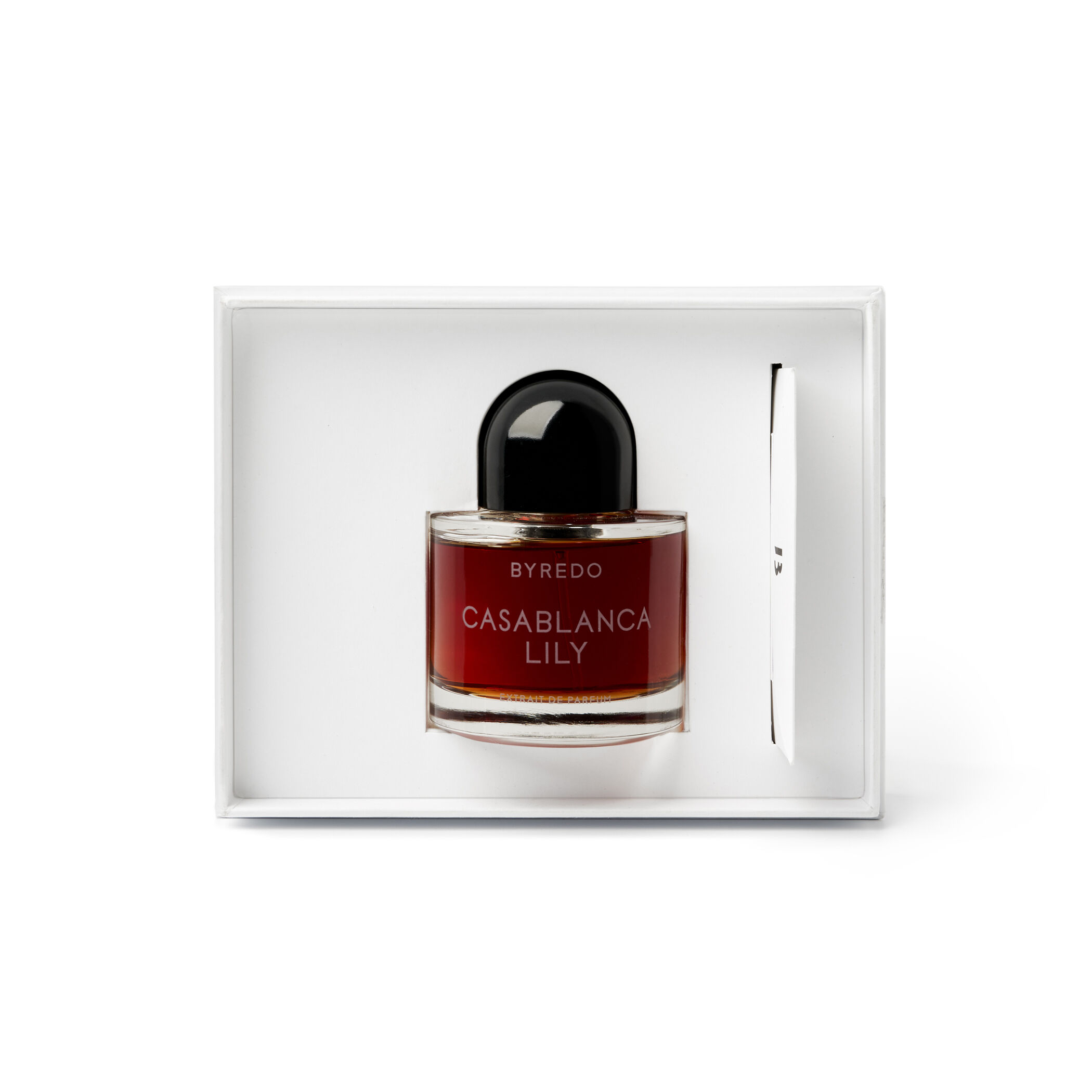 BYREDO NightVeils エキストラドパフューム 50ml｜トゥモローランド