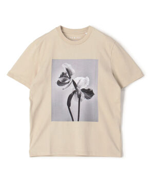 【別注】LISA KING JAGGER ハーフスリーブプルオーバー