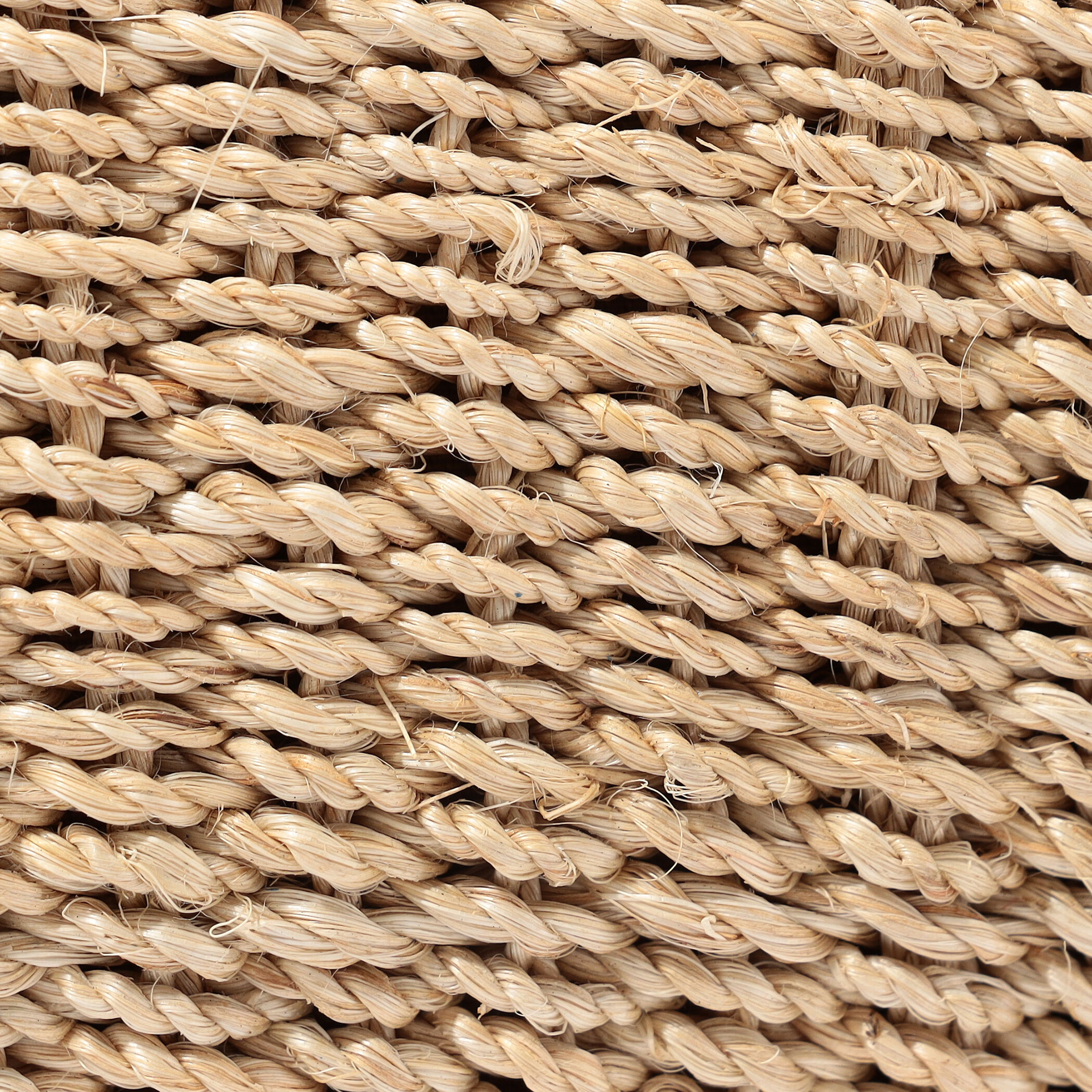 viola 国内10月19日発売予定】パッカー シューズ × アディダス