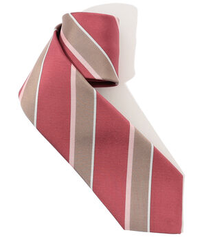 ERRICO FORMICOLA シルクプリント レジメンタルストライプネクタイ