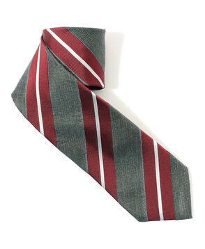 STEFANO BIGI シルク レジメンタルネクタイ