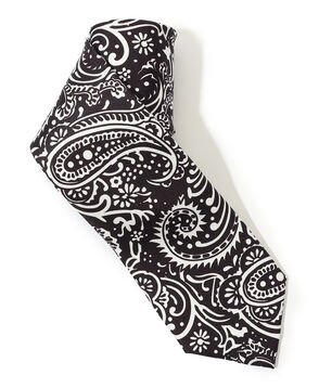 Charvet シルクプリント ネクタイ