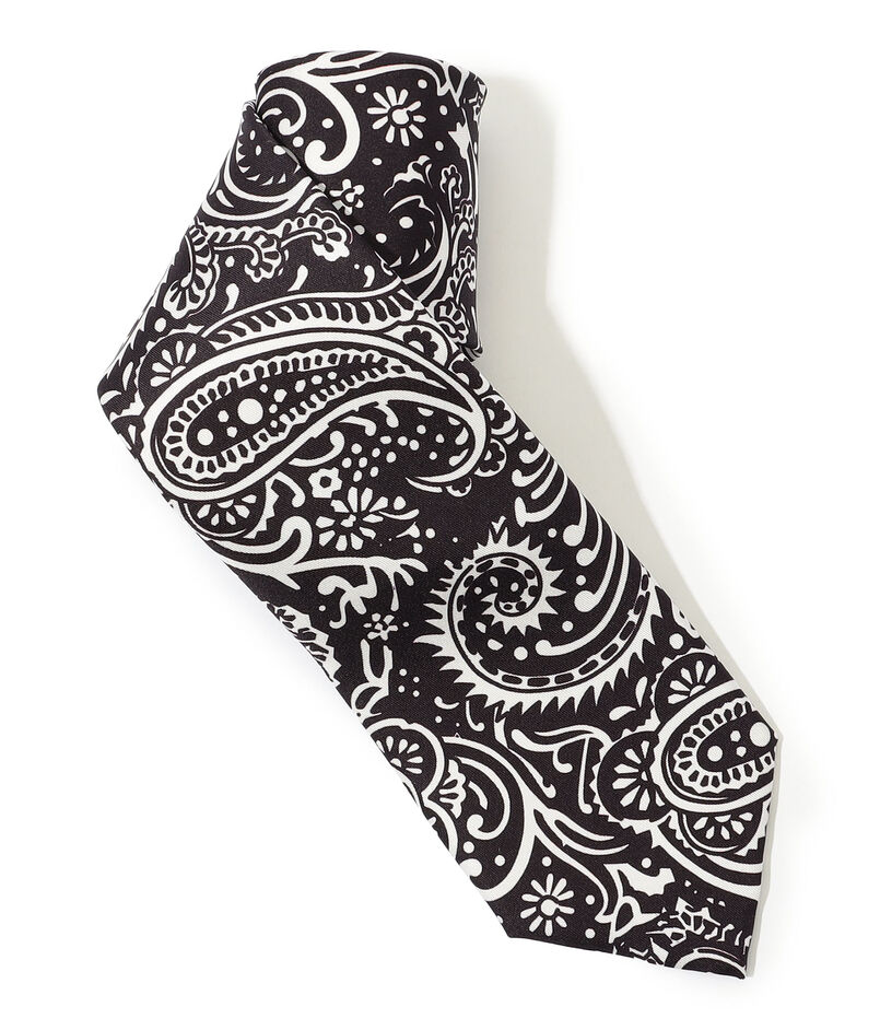 Charvet シルクプリント ネクタイ