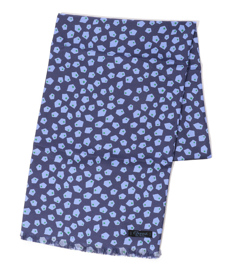 Charvet シルクプリント スカーフ