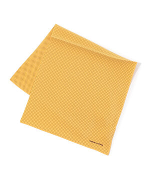 MAISON et VOYAGE シルク 1mmドット スカーフ