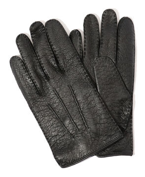 DENTS ペッカリー グローブ