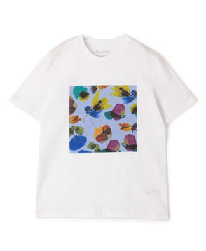 【別注】 LISA KING NATASHA ハーフスリーブプルオーバー