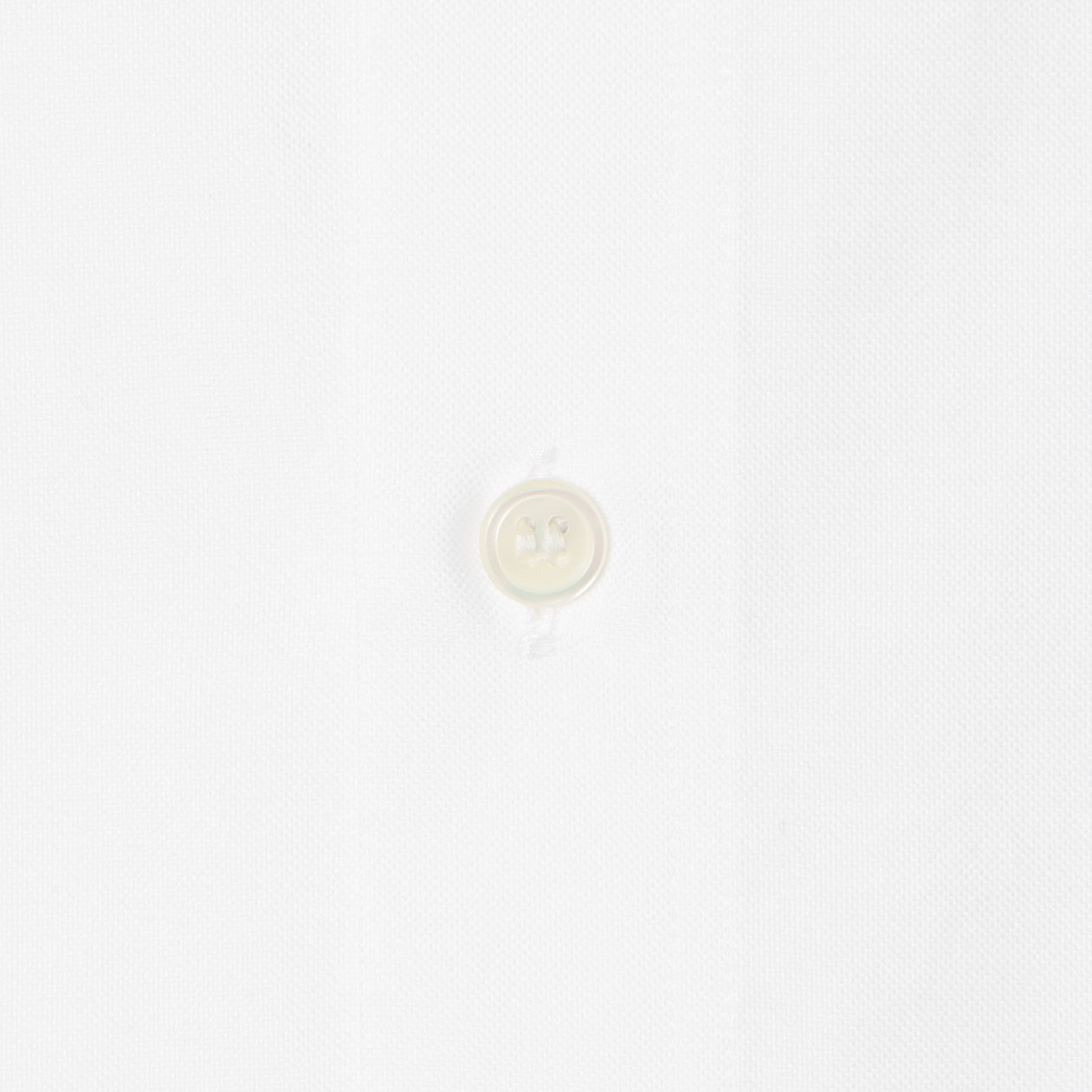 プレミアムオックス カットオフスタンドカラーシャツ