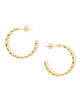【別注】PHILIPPE AUDIBERT FAY HOOPS ゴールドピアス
