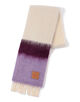 LOEWE stripe stole