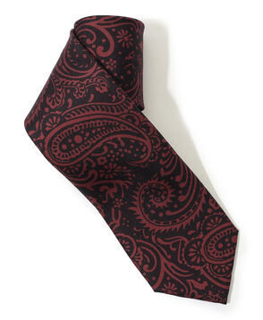 Charvet シルクプリント ネクタイ