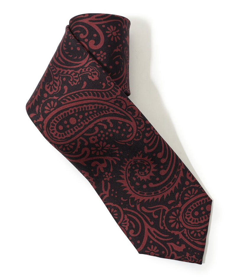 Charvet シルクプリント ネクタイ